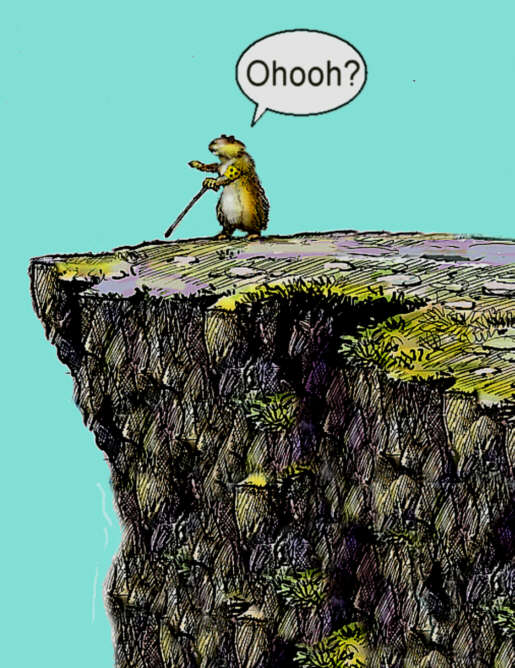 blind lemming