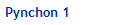 Pynchon 1
