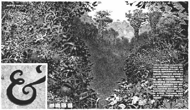 Arkanisches Pneuma 1 - Der große Wald