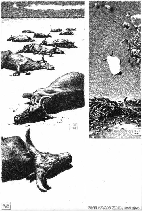 27DeadBUffalo500