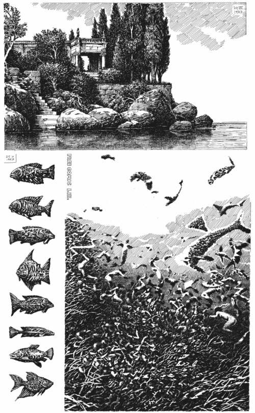 48böcklin500