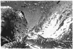 Blatt 2