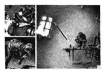Lenz Blatt 6